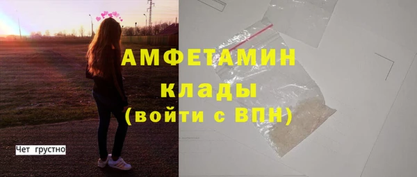 мдпв Гусь-Хрустальный