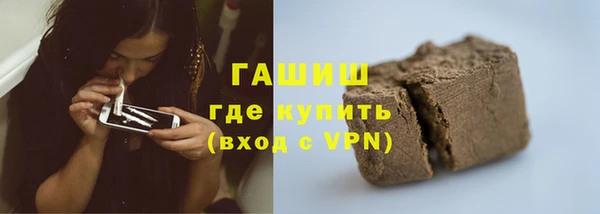 прущие грибы Горно-Алтайск