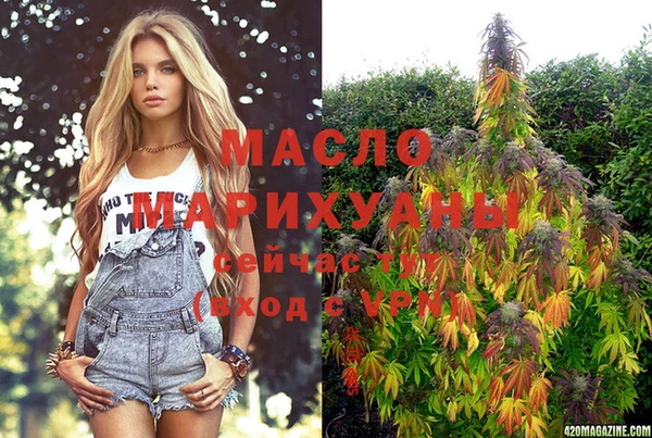 мдпв Гусь-Хрустальный