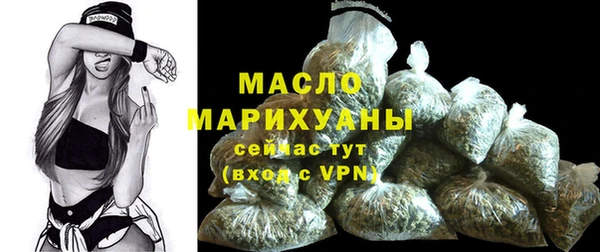 мдпв Гусь-Хрустальный