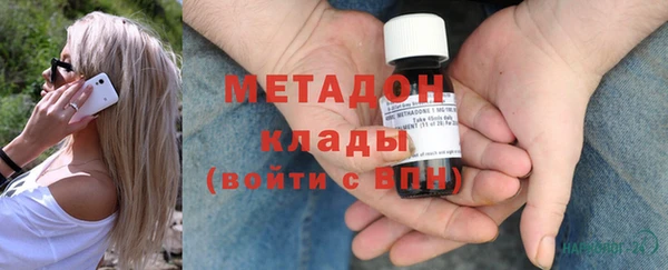 прущие грибы Горно-Алтайск